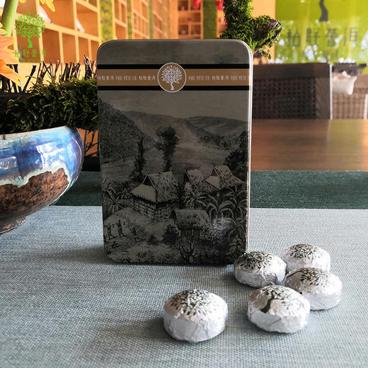 柏联 时尚.普洱茶(生茶)紧压茶12粒装