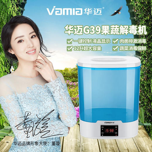 【新品上市】浩鸿华迈果蔬解毒机 家用肉类果蔬餐具解毒机活氧杀菌