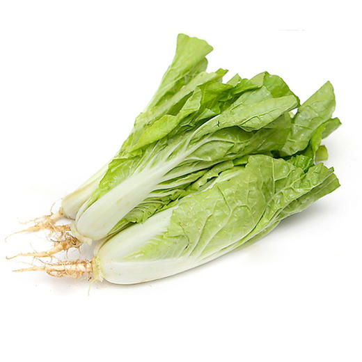 水白菜【约500g-550g】 商品图1