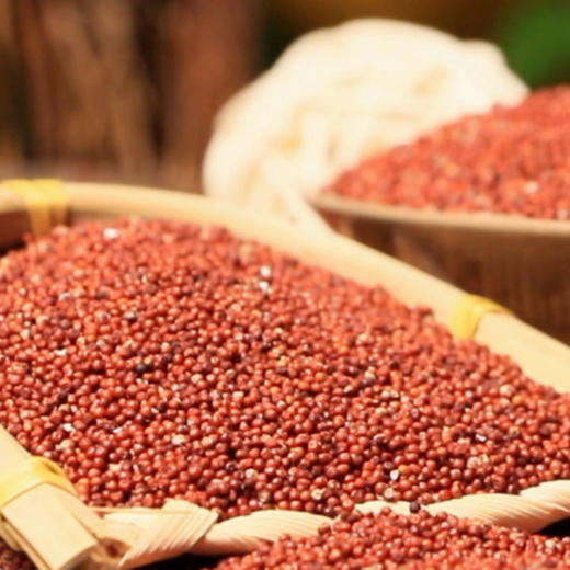 【老锄头习水红稗羹 】国家地标保护产品 苗族传承濒危作物 每天吃一