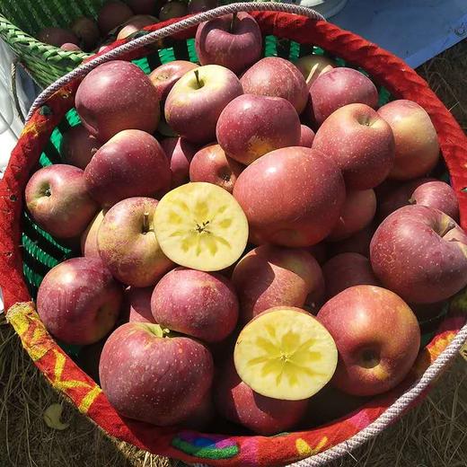 云南昭通丑苹果10斤新鲜当季脆甜冰糖心红富士萍果水果整箱5包邮