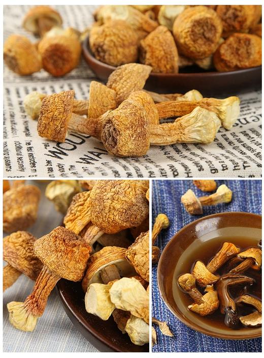 云南姬松茸500克/包 商品图2