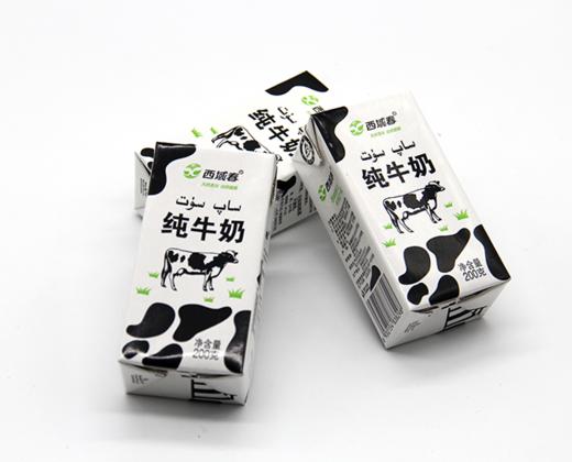 西域春黑砖纯牛奶(200g*20盒) 商品图1