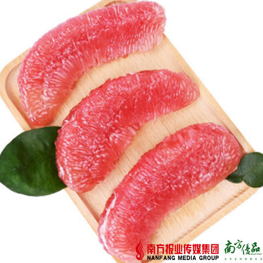 【珠三角包邮】原鲜汇 红肉蜜柚 1.5-2.2斤/个  3个/份（9月10日到货） 商品图1