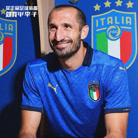 PUMA/彪马 意大利欧洲杯主场 球员版球衣76291901