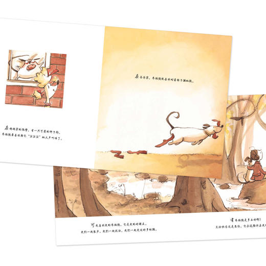 【点读版】绘本花园：我们永远在一起（平）（NEW） 商品图4