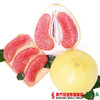 【珠三角包邮】原鲜汇 红肉蜜柚 1.5-2.2斤/个  3个/份（9月10日到货） 商品缩略图3