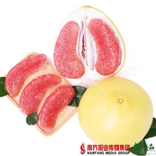 【珠三角包邮】原鲜汇 红肉蜜柚 1.5-2.2斤/个  3个/份（9月10日到货） 商品图3