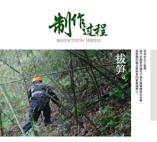 临安石笋干500克 商品图2