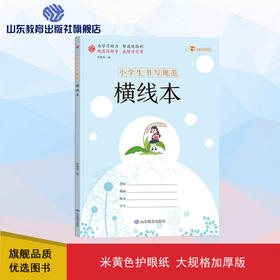 小学生书写规范 横线本