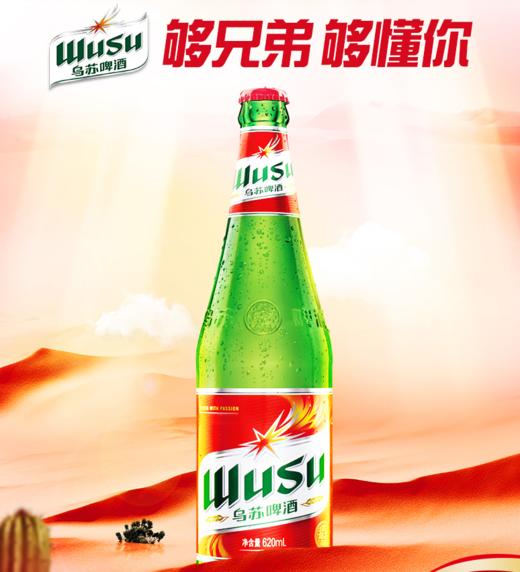 乌苏啤酒620ml*12瓶整箱装 商品图0