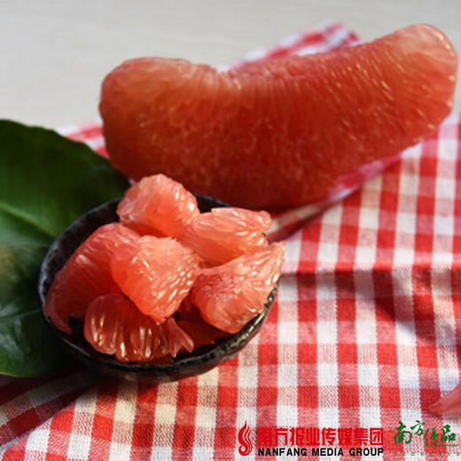 【珠三角包邮】原鲜汇 红肉蜜柚 1.5-2.2斤/个  3个/份（9月10日到货） 商品图2