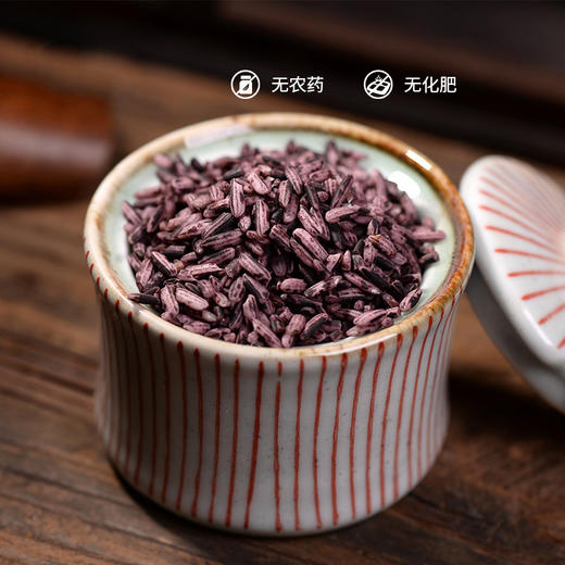 云南省普洱市墨江县特产—— 屯屯麦 墨江紫米