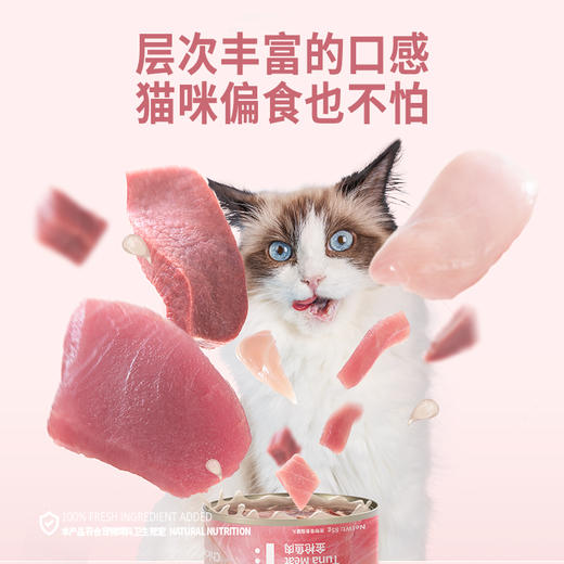 喵彩1:1:1罐头 鸡牛鱼三种肉类 85gx6罐  猫咪零食罐头 一罐三种肉类 商品图3
