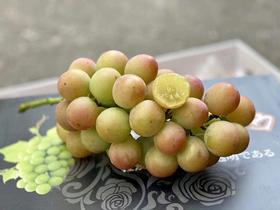 【妮娜皇后 】香甜香甜，果冻般的口感，冰镇下更好吃~