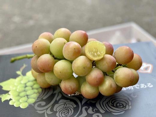 【妮娜皇后 】香甜香甜，果冻般的口感，冰镇下更好吃~ 商品图0