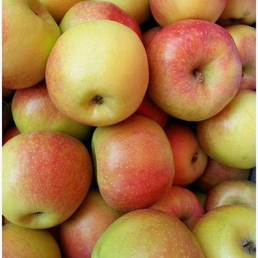 嘎啦果(2斤左右)