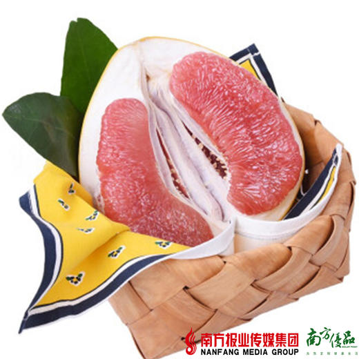 【珠三角包邮】原鲜汇 红肉蜜柚 1.5-2.2斤/个  3个/份（9月10日到货） 商品图4