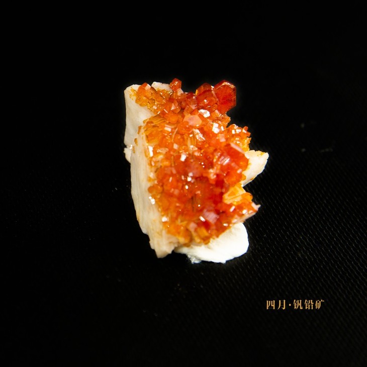 四月 钒铅矿.jpg