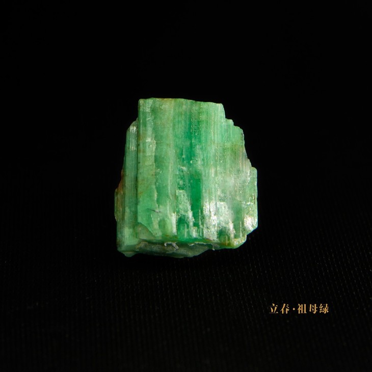 立春 祖母绿.jpg