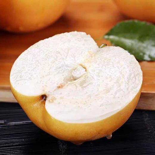 周四取货：【莱阳秋月梨】一份5斤左右，口感细腻！  水份超足！ 商品图4