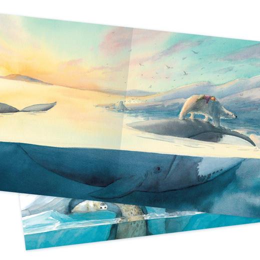 【59元任选4本】【点读版】双语绘本：北极熊报告（精） 商品图1