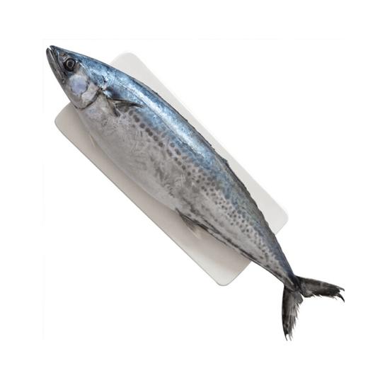 大连特产 海捕野生当地大鲅鱼马鲛鱼，2-3斤/条（真空包装），过节送礼佳品，辽宁省内包邮。 商品图0