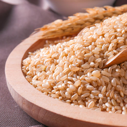  燕之坊 糙米1kg 富含粗纤维 有嚼劲 饱腹感强 五谷杂粮 可做糙米饭 糙米糊 商品图4