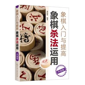 象棋入门与提高 象棋杀法运用(升级版)