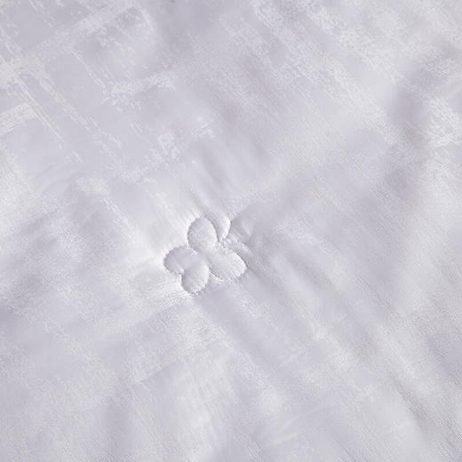 恒源祥TSB1004-2流光冰沁蚕丝被2米 商品图2