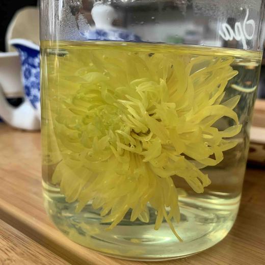 【金丝皇菊】 香 甜 润  25克/瓶 新货无熏硫 包邮 商品图4