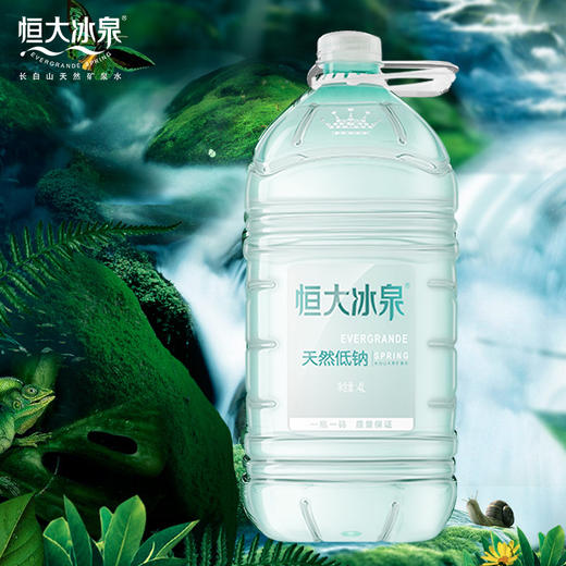 4l恒大冰泉低钠水