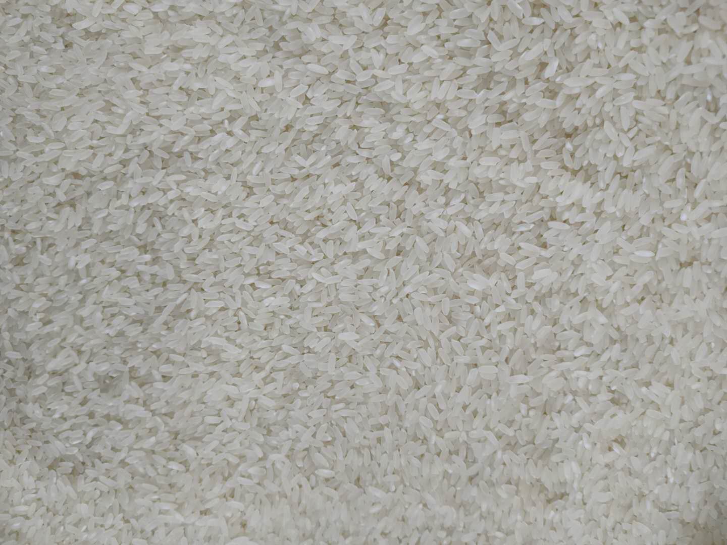 五常稻花香大米