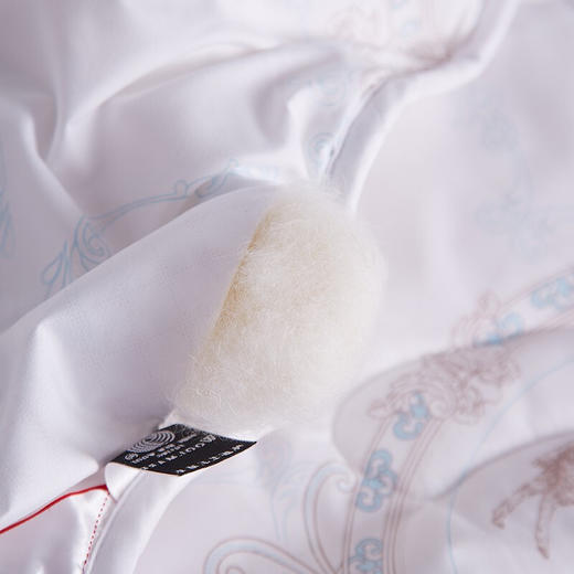 恒源祥TGB1007黛富妮纯新羊毛被2米 商品图6