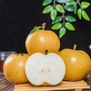 周四取货：【莱阳秋月梨】一份5斤左右，口感细腻！  水份超足！ 商品缩略图3