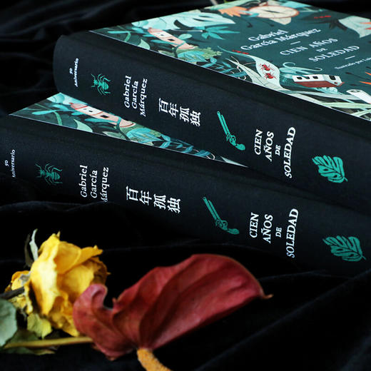 百年孤独 插图纪念版 加西亚马尔克斯 著 外国文学小说 名家名著 原版复刻收藏版马孔多霍乱时期的爱情魔幻现实主义无删减 【送透明书签X4】 商品图8