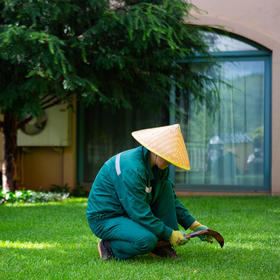 【家政管养】私家花园管养  积分兑换