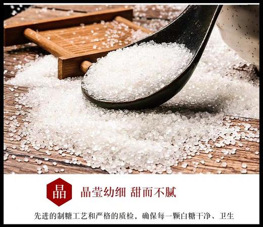 明阳白糖 100斤/件 商品图1