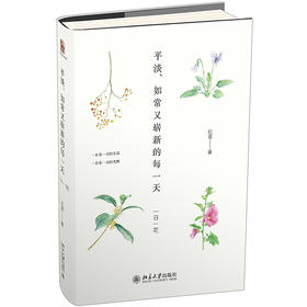 《平淡、如常又崭新的每》定价：79.00元 作者：红茶 著