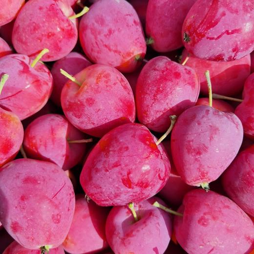 新疆伊犁香妃海棠果 3.5斤装 商品图1