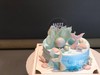 海洋系蛋糕 商品缩略图0