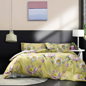 水星家纺长绒棉抗菌四件套 – 宇希