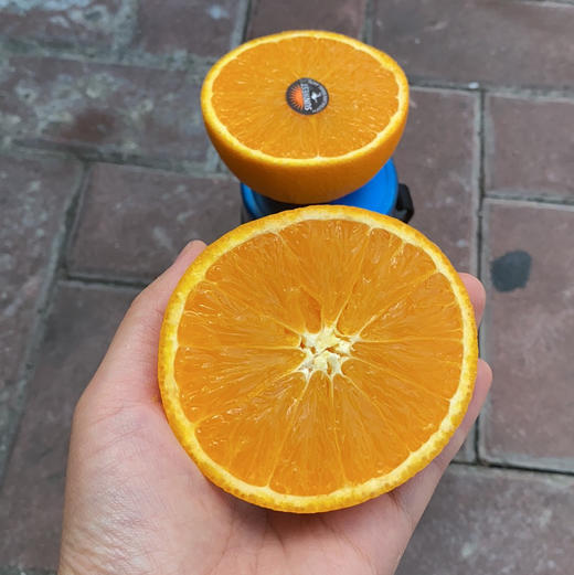 澳洲黑标3107橙 商品图12