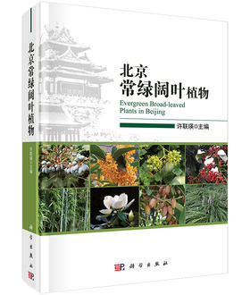 北京常绿阔叶植物