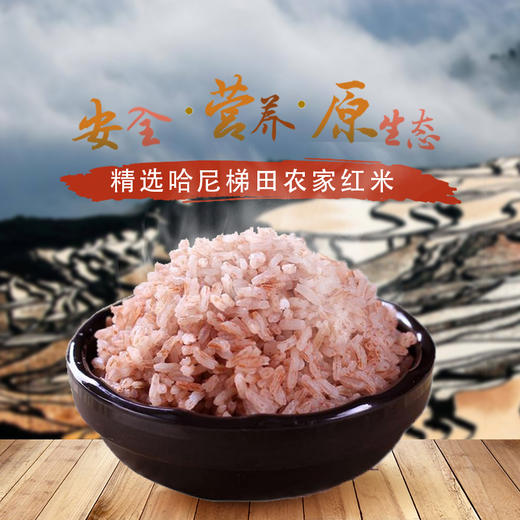 屯屯麦 哈尼梯田红米杂粮