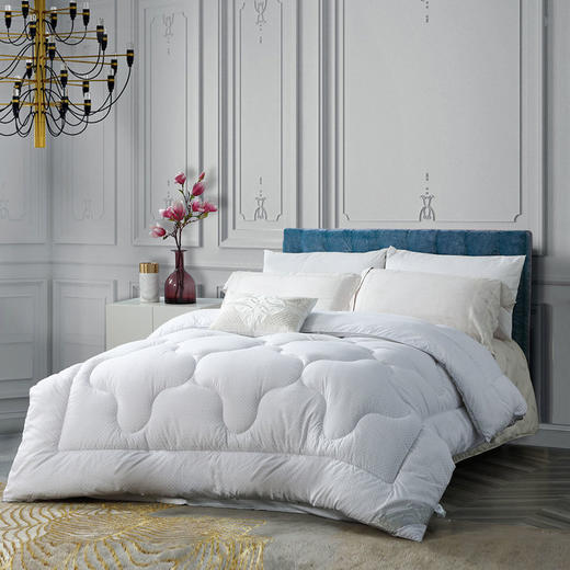 水星家纺123199DH清朗净醛抗菌冬被 商品图0