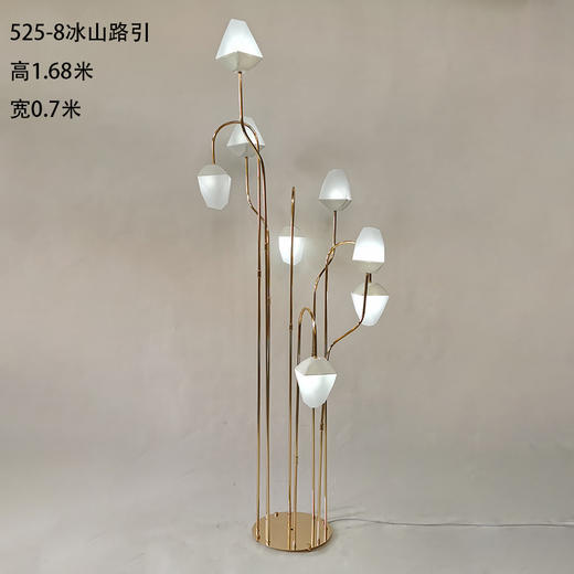 525-8冰山路引【运费自理】 商品图0