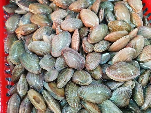 鲜活花甲(500g) 商品图1