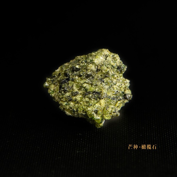 芒种 橄榄石.jpg