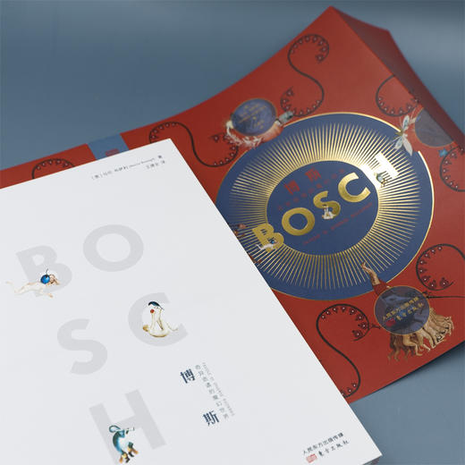 《博斯》（裸脊版）意大利艺术出版社引进，详述文艺复兴神秘画家博斯的生平 商品图6